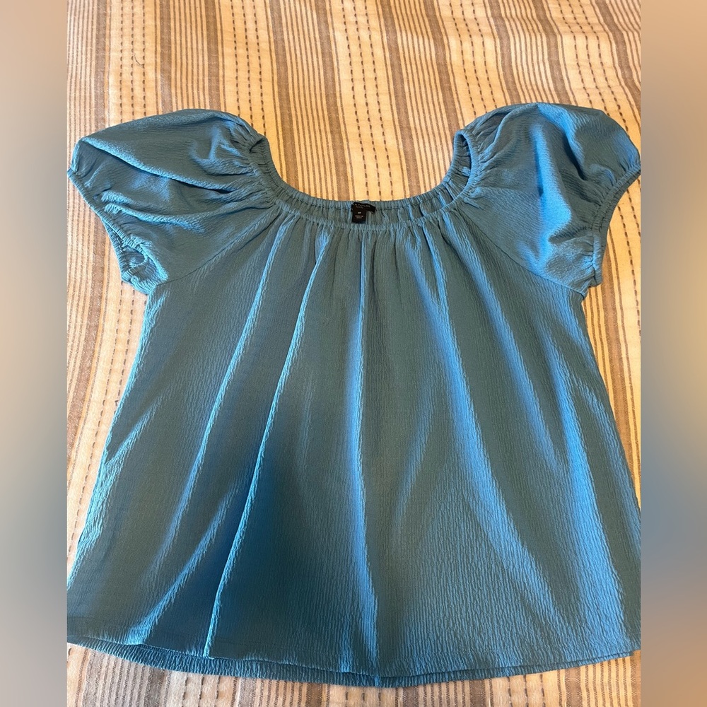 Petite Medium Anne Taylor blue blouse